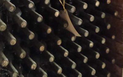 In Chianti Classico l’archivio in bottiglia dei grandi vini