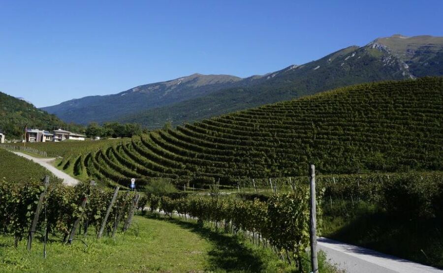 I 5 eventi da non perdere nel Garda Trentino per gli sport lovers