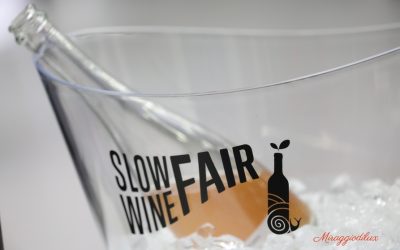 Slow Wine Fair 2024: oltre il calice di vino