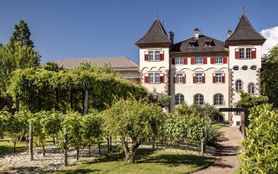 In Alto Adige nasce un nuovo Pinot Noir Rosé 2021