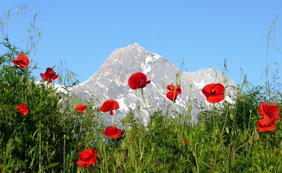 La giornata internazionale della montagna 2024 festeggiata da Sloow food insieme alla Fao