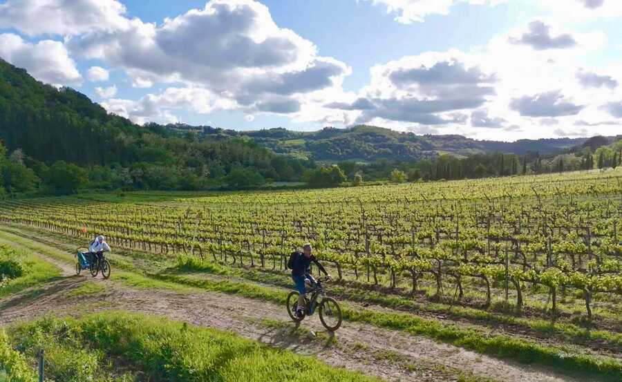 Pedalare in Chianti fra i vigneti più belli del mondo