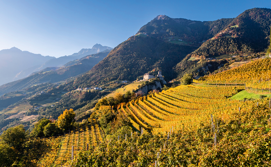 L’autunno dorato di Tirolo in Alto Adige