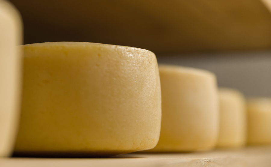 Cheese 2025 si avvicina: 14 formaggi da scoprire (e come abbinarli al meglio) per arrivare preparati a Bra (Cn), dal 19 al 22 settembre