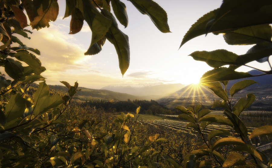 Il rito dei raccolti e delle vendemmie che preannuncia la festa in Trentino