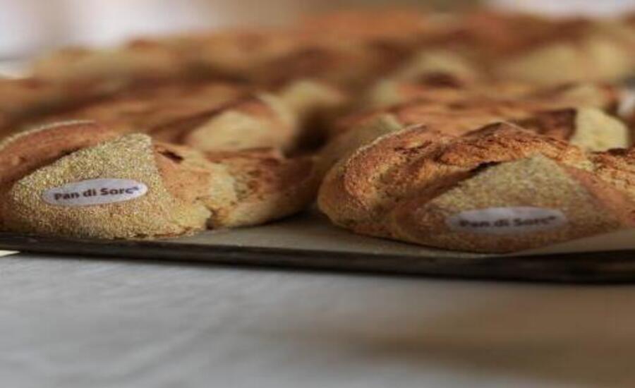Pan di Sorc: il pane contadino che profuma di storia e di Friuli