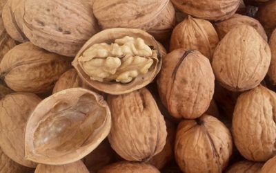 La Noce del Bleggio: il gioiello rurale del Trentino che profuma di storia, gusto e tradizione