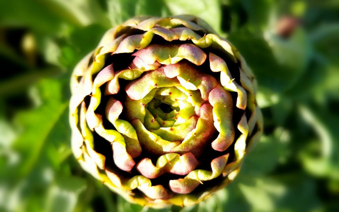 Niscemi rinasce con il vagghiàrdy