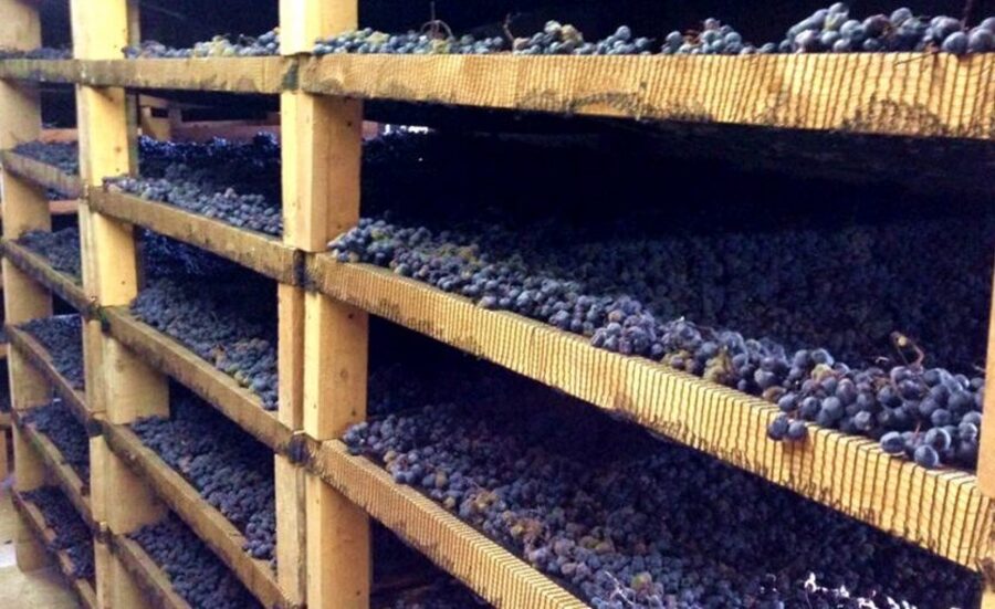 Moscato di Scanzo Docg: alla scoperta del vino dolce più raro d’Italia