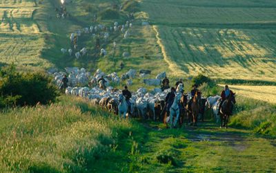 In Molise alla scoperta dei tratturi: le autostrade del passato