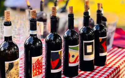 In Toscana alla cantina Le Pietre il vino non è scienza ma arte