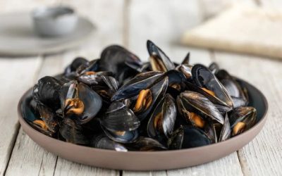 Cozza tarantina, il sapore del Mar Piccolo: viaggio alla scoperta del tesoro nero di Taranto