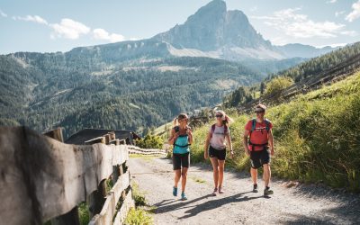Estate a Plan de Corones: un mondo di esperienze nella natura delle Dolomiti tra ve