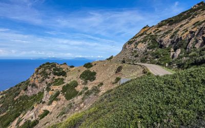 Alghero – Bosa, la strada panoramica che attraversa l’anima selvaggia della Sardegna
