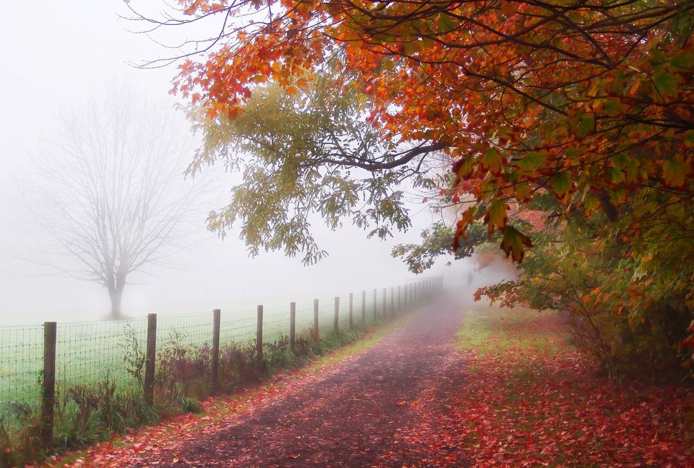 Autunno alternativo in Italia: 15 esperienze insolite per viaggiatori curiosi