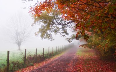 Autunno alternativo in Italia: 15 esperienze insolite per viaggiatori curiosi