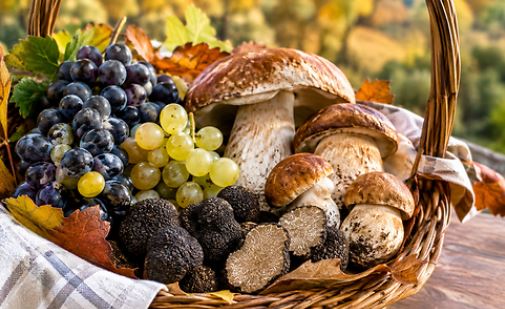 Ottobre in tavola: i 10 eventi del gusto da non perdere nel weekend del 3 e 4 ottobre