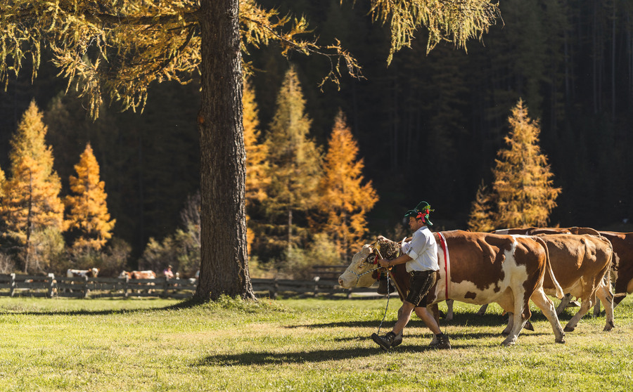 Valle Aurina, l’autunno si scopre passo dopo passo tra foliage, Kiehkemma e sapori autentici
